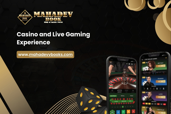 Casino and Live Gaming Experience
